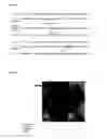 Fig. 05 - USE OF GENETIC MODIFICATIONS IN HUMAN GENE CHK1 WHICH CODES FOR CHECKPOINT KINASE 1