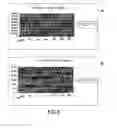 Fig. 08 - Method for determining DNA fragmentation in microorganisms