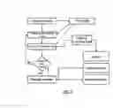 Fig. 09 - Method for determining DNA fragmentation in microorganisms