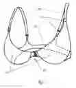 Fig. 02 - FRONT ADJUSTABLE BRA