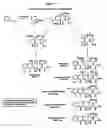 Fig. 02 - Synthesis of tetracyclines and analogues thereof