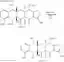 Fig. 166 - Synthesis of tetracyclines and analogues thereof