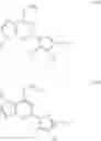 Fig. 04 - PURINYL DERIVATIVES AND THEIR USE AS POTASSIUM CHANNEL MODULATORS
