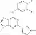 Fig. 13 - PURINYL DERIVATIVES AND THEIR USE AS POTASSIUM CHANNEL MODULATORS