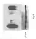 Fig. 02 - Methods of treating cancer using siRNA molecules directed against CD24