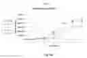 Fig. 08 - Methods of treating cancer using siRNA molecules directed against CD24