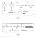 Fig. 06 - Self-Expanding Medical Occlusion Device