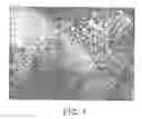 Fig. 02 - BIORESORBABLE POLYMER RECONSTITUTED BONE AND METHODS OF FORMATION THEREOF