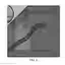 Fig. 02 - Seed dispenser control