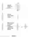 Fig. 02 - Method to increase crop grain yield utilizing complementary paired growth and yield genes