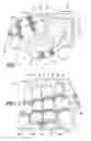 Fig. 02 - Sports Glove With A Segmented Joint Protector