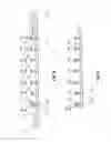 Fig. 02 - Composite reinforced strip windable to form a helical pipe and method therefor