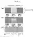 Fig. 07 - Method and apparatus for producing amorphous ribbon