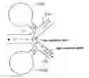 Fig. 01 - Method and apparatus for sorting particles