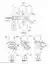Fig. 02 - Method and apparatus for sorting particles