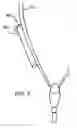 Fig. 04 - Lanyard with pocket