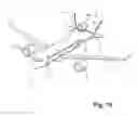 Fig. 07 - Airplane with flat rear fuselage said queue-de-morue empennage