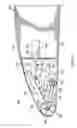 Fig. 06 - Shape changing airfoil system