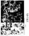 Fig. 07 - Fabrication method for ibiiiavia-group amorphous compound and ibiiiavia-group amorphous precursor for thin-film solar cells