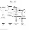 Fig. 06 - White organic light emitting device and method for manufacturing the same