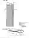 Fig. 79 - Display device