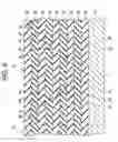 Fig. 09 - SEMICONDUCTOR DEVICE AND METHOD OF MANUFACTURING SEMICONDUCTOR INTEGRATED CIRCUIT CHIP