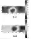 Fig. 07 - Method for non-destructive testing of composite systems