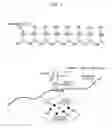 Fig. 02 - Positioning device, method of controlling positioning device, and recording medium