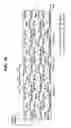 Fig. 08 - Liquid crystal display device and driving method thereof