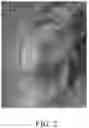 Fig. 03 - Methods, systems, and computer readable media for flexible occlusion rendering