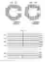 Fig. 09 - Printing apparatus, printing method, and program
