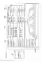 Fig. 07 - Print control apparatus, for performing a printing operation by reusing rendering completed data