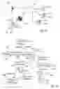 Fig. 02 - Printing of a position-coding pattern