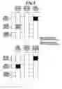 Fig. 07 - Electrochromic display device