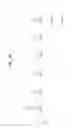 Fig. 45 - Transmitting/receiving system and method of processing broadcast signal in transmitting/receiving system