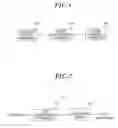 Fig. 02 - SVC ENCRYPTION APPARATUS AND METHOD AND CONTENTS PROVIDING SYSTEM AND METHOD