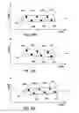 Fig. 17 - Image-based characterization of implanted medical leads