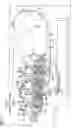 Fig. 09 - Photosensitive unit and image forming apparatus