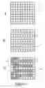 Fig. 02 - HONEYCOMB REACTORS WITH HIGH ASPECT RATIO CHANNELS