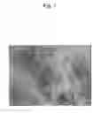 Fig. 02 - MODIFIER FOR SILICATE-CONTAINING FIBROUS MATERIAL, METHOD FOR MODIFYING SILICATE-CONTAINING FIBROUS MATERIAL, AND MODIFIED MATERIAL
