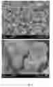 Fig. 06 - Process for production of PCC