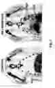 Fig. 06 - In vivo imaging of sulfotransferases