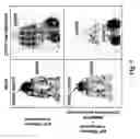 Fig. 08 - In vivo imaging of sulfotransferases