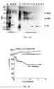 Fig. 09 - ANTI-HIV AGENTS