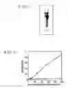 Fig. 07 - ANTIBODIES THAT BIND TO OBM