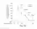 Fig. 05 - Methods and compositions for regulating iron homeostasis by modulation of BMP-6