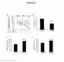Fig. 07 - Methods and compositions for regulating iron homeostasis by modulation of BMP-6