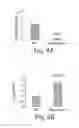 Fig. 08 - Methods and compositions for regulating iron homeostasis by modulation of BMP-6