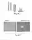 Fig. 11 - Methods and compositions for regulating iron homeostasis by modulation of BMP-6