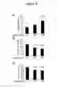 Fig. 12 - Methods and compositions for regulating iron homeostasis by modulation of BMP-6